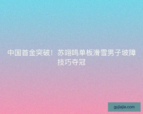 中国首金突破！苏翊鸣单板滑雪男子坡障技巧夺冠