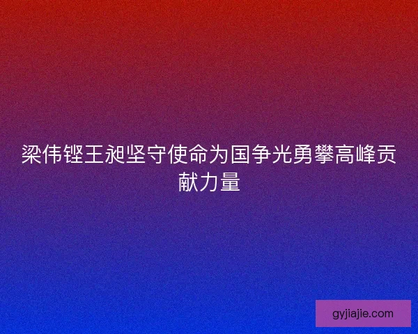 梁伟铿王昶坚守使命为国争光勇攀高峰贡献力量