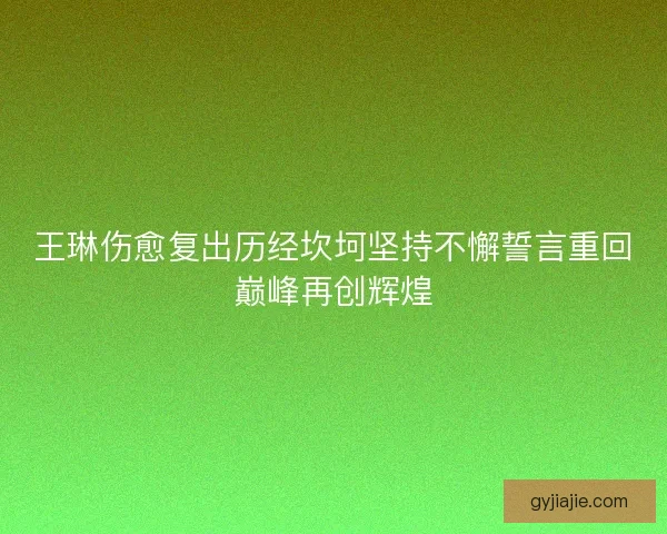 王琳伤愈复出历经坎坷坚持不懈誓言重回巅峰再创辉煌
